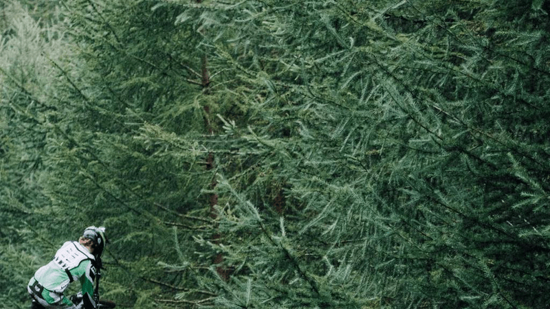 Camera - professional stock photography