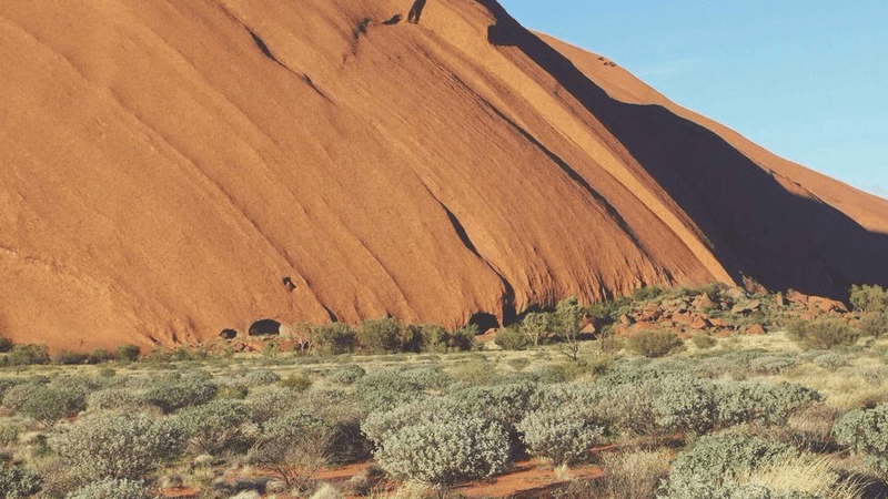 Camera - professional stock photography